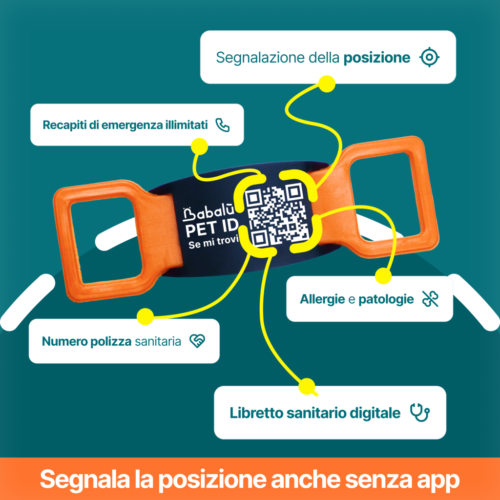 Babalù PetID — variante prodotto